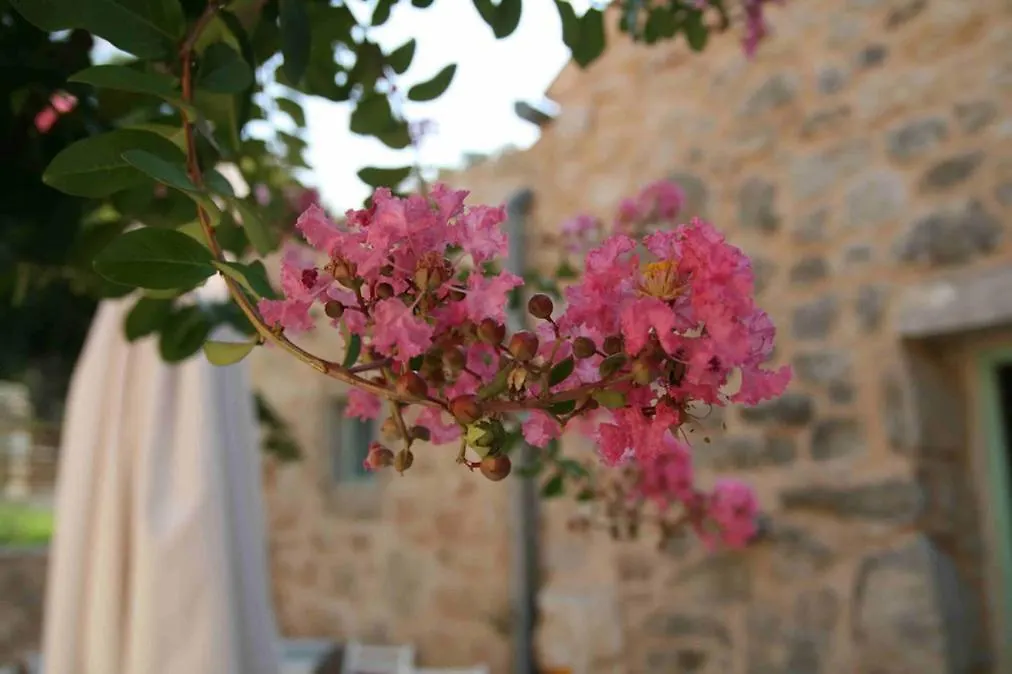 Hotel Village Balatura - Exclusive Veggie Tribalj